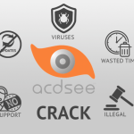 acdsee pro crack