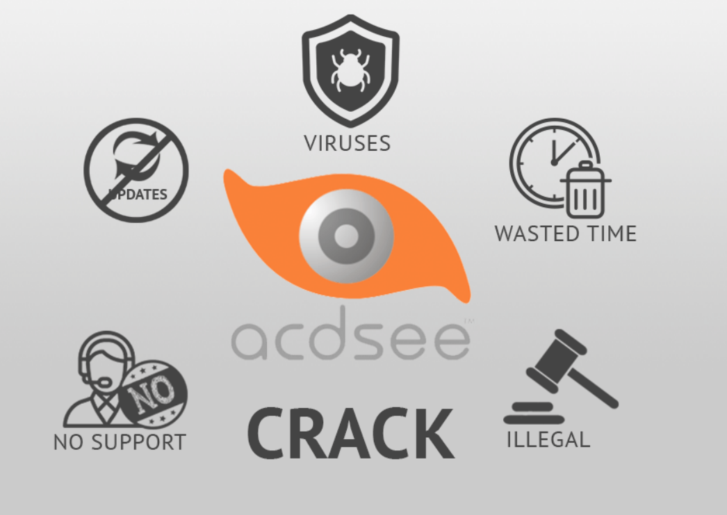 acdsee pro crack